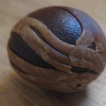 nutmeg