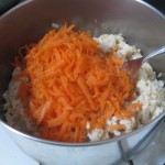 carrots and rice