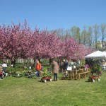 plant sale