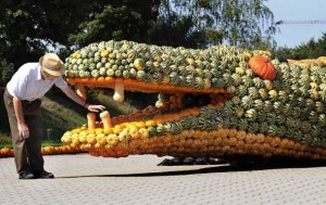gourdgator