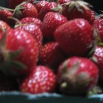 Strawberries